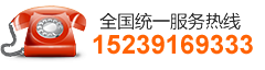 0391-3299600